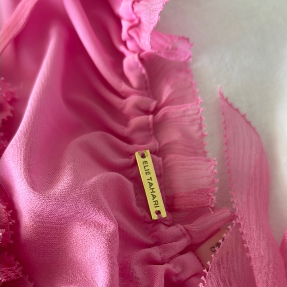 Pink Sheer Halter Top with Gold Accents - Picture 3 of 4